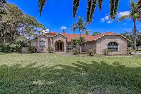 12202 Rambling Oak Blvd, Orlando, FL 32832
