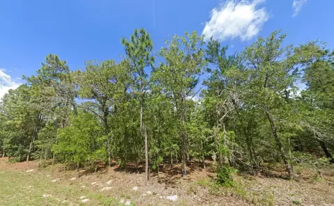 1950 Cr 243b, Wildwood, FL 34785
