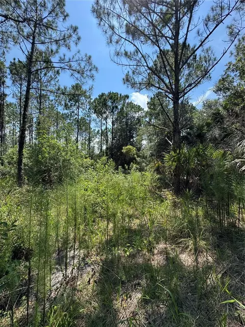 Other - 4300 Justa Rd, Mims, FL 32754 photo 7 of 28