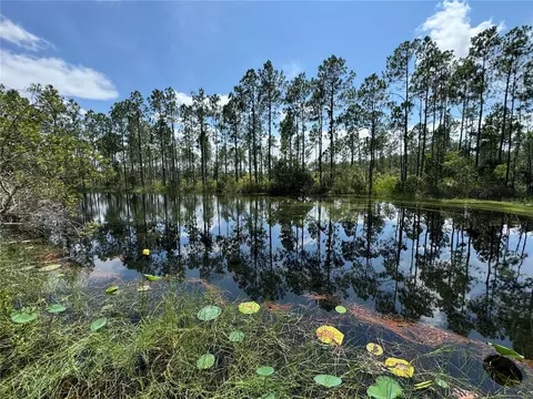 View/Area - 4300 Justa Rd, Mims, FL 32754 photo 3 of 10