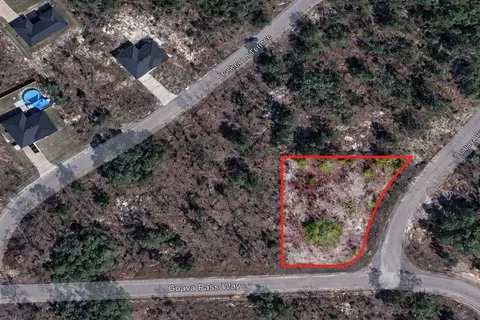Guava Pass Pl, Ocklawaha, FL 32179