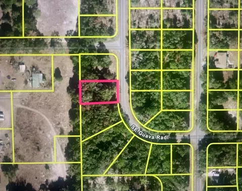 Guava Terrace Radial, Ocklawaha, FL 32179