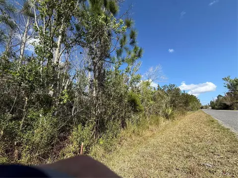 Jupiter Drive, Saint Cloud, FL 34773 photo 3