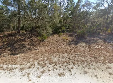 3218 Gossamer Ave, Lake Placid, FL 33852