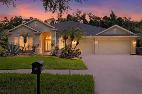 15020 Eaglerise Dr, Lithia, FL 33547