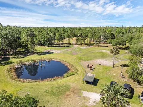 2321 Waccassa St, Geneva, FL 32732