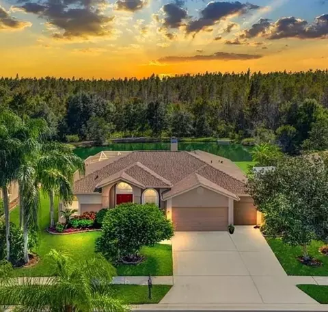 18408 Bittern Ave, Lutz, FL 33558