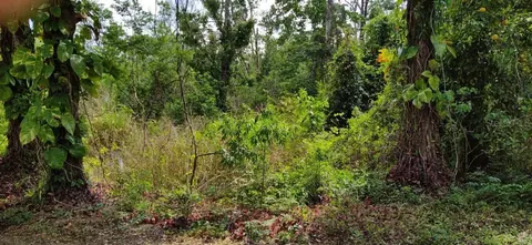 Marjorie Boulevard, Longwood, FL 32750