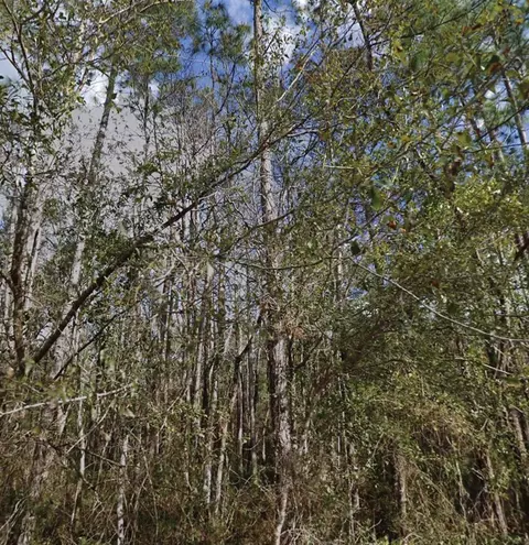 SE 3rd Street, Palatka, FL 32177