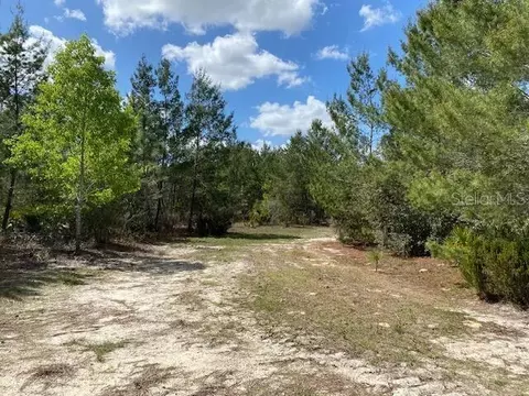 18055 SW 200 St, Archer, FL 32618