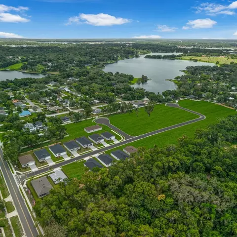 View/Area - 1295 Blue Daze Ln, Eustis, FL 32726 photo 2 of 6