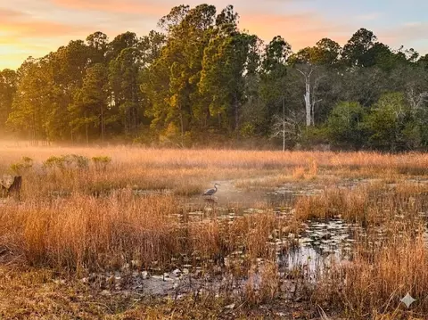 View/Area - 39641 Royal Trails Rd, Eustis, FL 32736 photo 1 of 4