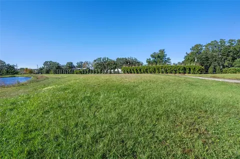10948 Down Park Ln, Windermere, FL 34786 photo 29
