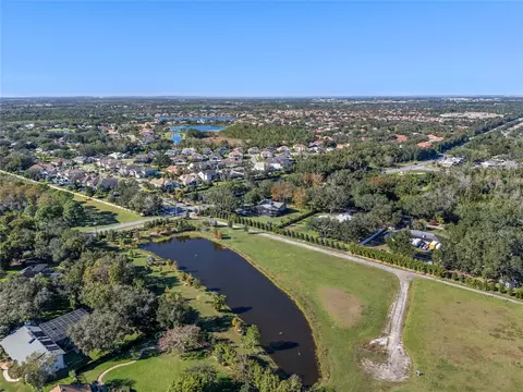 10948 Down Park Ln, Windermere, FL 34786 photo 16
