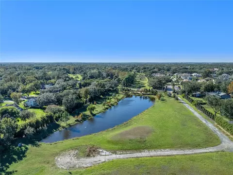 10948 Down Park Ln, Windermere, FL 34786 photo 7