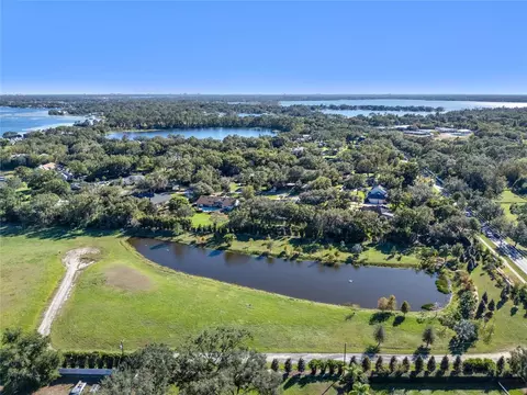 10948 Down Park Ln, Windermere, FL 34786 photo 10