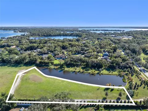 10948 Down Park Ln, Windermere, FL 34786 photo 3