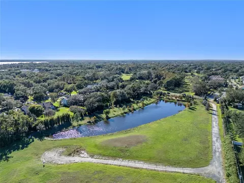 10948 Down Park Ln, Windermere, FL 34786 photo 8