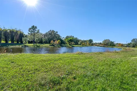 10948 Down Park Ln, Windermere, FL 34786 photo 28