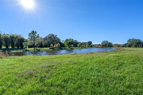 10948 Down Park Ln, Windermere, FL 34786 photo 26