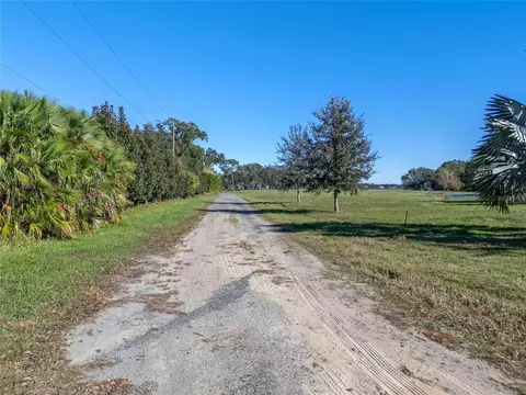 10948 Down Park Ln, Windermere, FL 34786 photo 21