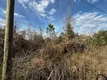 4125 Quail Nest Ln, New Smyrna Beach, FL 32168