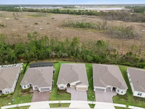 View/Area - 2555 Pine Preserve Ct, Saint Cloud, FL 34771 photo 3 of 15