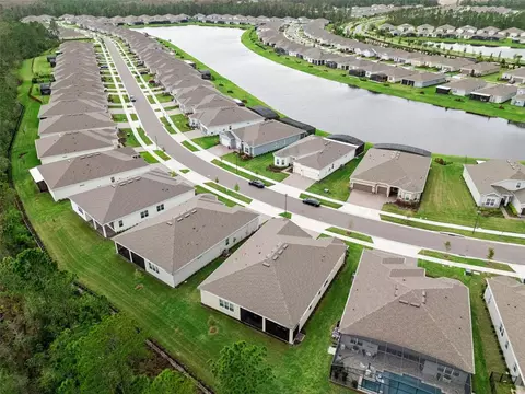View/Area - 2555 Pine Preserve Ct, Saint Cloud, FL 34771 photo 8 of 15