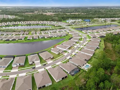 View/Area - 2555 Pine Preserve Ct, Saint Cloud, FL 34771 photo 12 of 15
