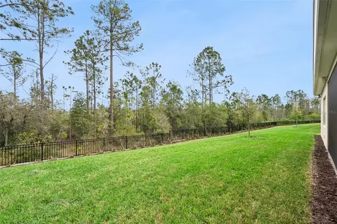 Exterior - 2555 Pine Preserve Ct, Saint Cloud, FL 34771 photo 9 of 10