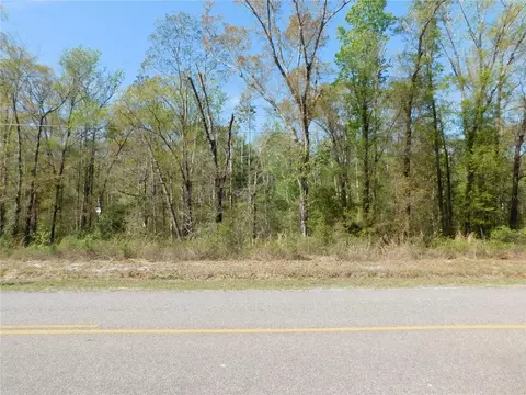 10505 E Deep Creek Blvd, Hastings, FL 32145