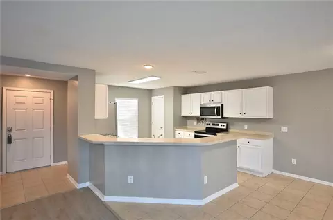 Other - 10922 Subtle Trail Dr, Riverview, FL 33579 photo 11 of 13