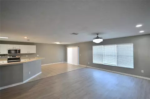 Living - 10922 Subtle Trail Dr, Riverview, FL 33579 photo 8 of 9