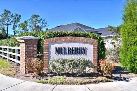 Other - 10922 Subtle Trail Dr, Riverview, FL 33579 photo 4 of 13