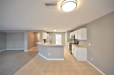 Other - 10922 Subtle Trail Dr, Riverview, FL 33579 photo 12 of 13