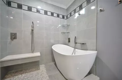 Bath - 10922 Subtle Trail Dr, Riverview, FL 33579 photo 1 of 9