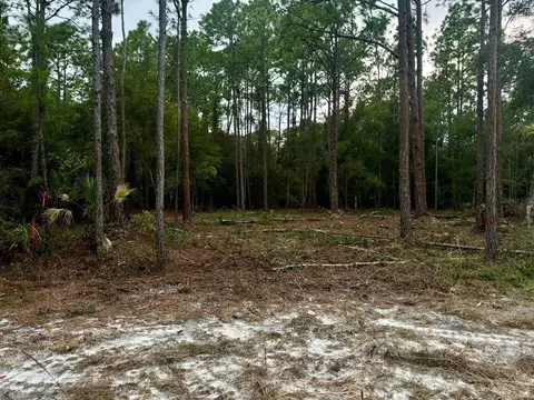 127 Longtree St, Georgetown, FL 32139 photo 3