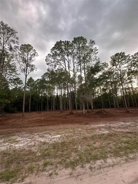 127 Longtree St, Georgetown, FL 32139 photo 2