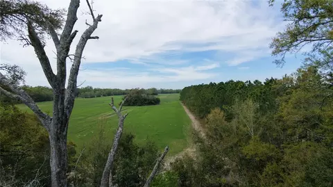 Sw Cr 344, Trenton, FL 32693