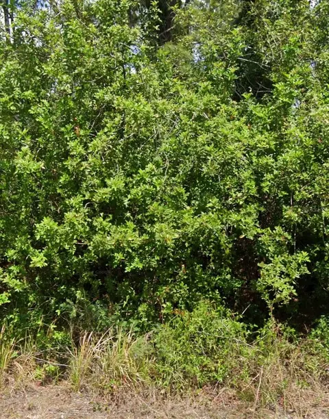 103 Dakota St NW, Lake Placid, FL 33852