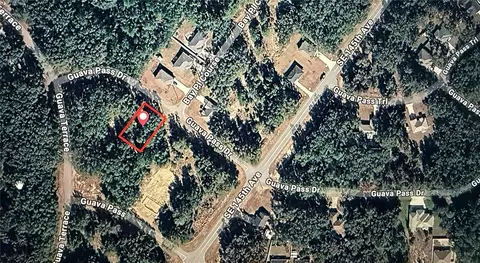 Guava Pass, Ocklawaha, FL 32179
