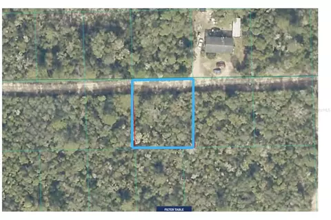lot19 NE 233rd Ln, Fort Mc Coy, FL 32134