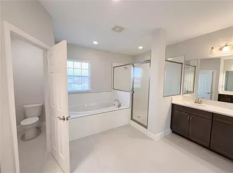 Bath - 11277 Rustic Timber Loop, San Antonio, FL 33576 photo 10 of 12