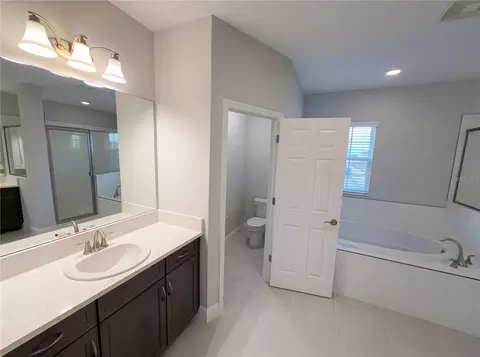 Bath - 11277 Rustic Timber Loop, San Antonio, FL 33576 photo 11 of 12