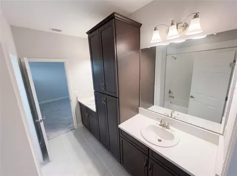 Bath - 11277 Rustic Timber Loop, San Antonio, FL 33576 photo 7 of 12