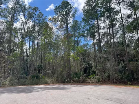 Tomahawk Trail, Deland, FL 32720