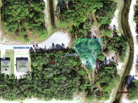 1256 Wahneta Dr, Kissimmee, FL 34759