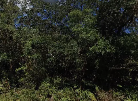 NE 47th Terrace, Citra, FL 32113