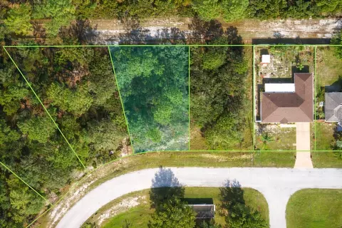 1226 Apopka Ln, Kissimmee, FL 34759