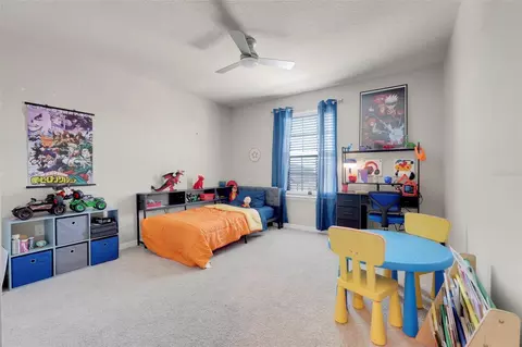 Bedroom - 1626 Regal River Cir, Ocoee, FL 34761 photo 8 of 8